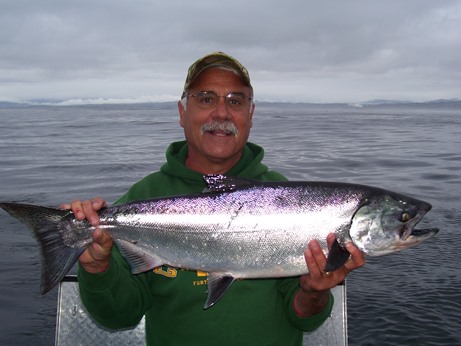 Chinook Salmon